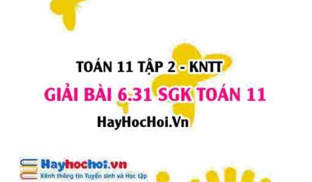 Bài 6.31 SGK Toán 11 Tập 2 Kết nối tri thức